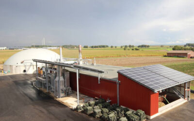 Bioenergy from Welleshof GmbH